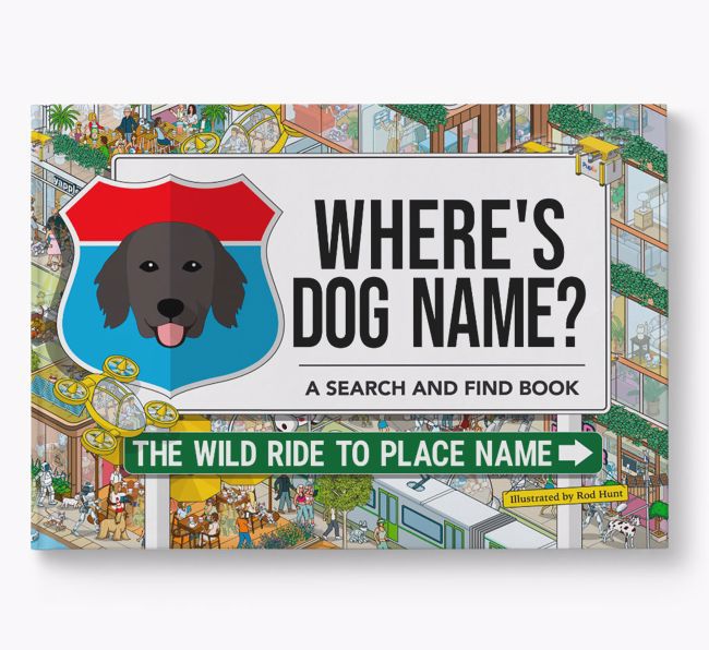 Personalised Flat-Coated Retriever Book: Where's Dog Name? Volume 3
